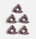 Insertos para torno 16IRM-AG60 LF6018 10u